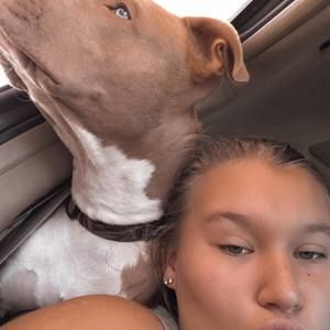 Meet your Posher, Haley